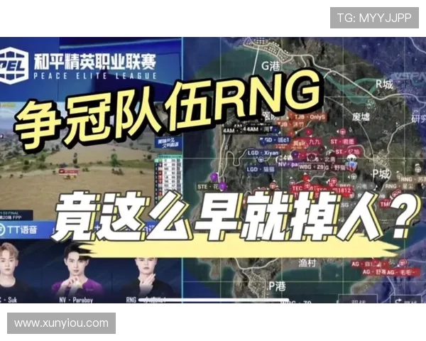 和平精英深度解析：RNG战队默契配合与战术运用全景探讨